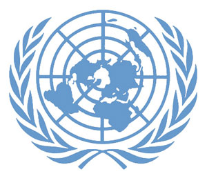Поставщик услуг безопасности ООН